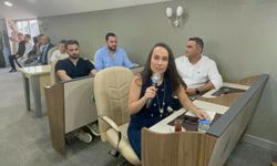 Taş Ocağı için yapılacak olan ağaç kıyımı mahkemeden döndü
