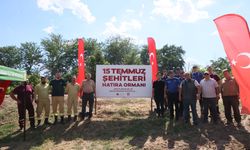 15 Temmuz Şehitleri Hatıra Ormanı'nda bakım yapıldı