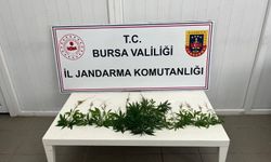 Bursa'da uyuşturucu operasyonunda 3 şüpheli yakalandı