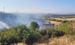 GÜNCELLEME - Balıkesir'de çıkan arazi yangını kontrol altına alındı