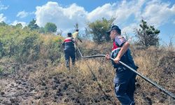 GÜNCELLEME - Bilecik'te tarım arazisinde çıkan yangın kontrol altına alındı