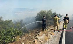GÜNCELLEME - Bursa'nın Orhangazi ilçesinde makilik alanda çıkan yangın kontrol altına alındı