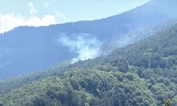 Karabük'te ormanlık alanda çıkan yangın kontrol altına alındı