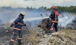 Sakarya'da makilik alanda çıkan yangın söndürüldü