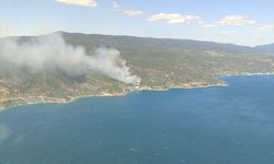 Yalova'da çıkan orman yangınına müdahale ediliyor