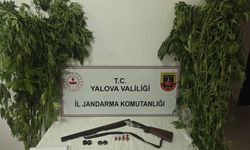 Yalova'da uyuşturucu operasyonunda 2 zanlı yakalandı