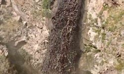 Ağrı Dağı'nda yamaçlardan çamur şelalesi aktı