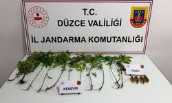Düzce'de jandarmadan uyuşturucu operasyonu