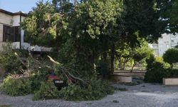 Fırtına ağaçları araçların üzerine devirdi, tekneyi kıyıya vurdu
