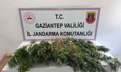 Gaziantep jandarmadan uyuşturucu operasyonu