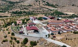 Geçici Hayvan Bakımevi ve Rehabilitasyon Merkezi'nde 15 bin sokak hayvanı tedavi edildi