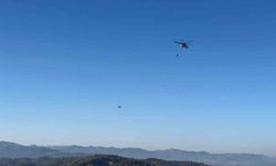 Gömeç, Ayvalık ve Bergama'da binlerce hektar ağacı kül eden yangın kontrol altına alındı