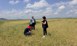 Kars'ta fırtına ve dolu sonrası hasar tespit çalışmaları başladı
