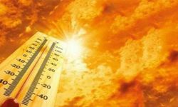 Meteoroloji'den Muğla'ya orman yangını risk uyarısı