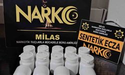 Milas'ta uyuşturucu operasyonu