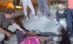 Minibüsün çarptığı başıboş at 'Haybulans' ile tedaviye alındı