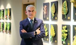Türkiye'ye lavanta ihracatı ile 5 yılda ekosisteme 765 bin dolar döviz girdisi sağlandı