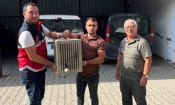 Yaralı halde bulunan leylek, koruma altına alındı