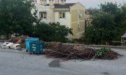 Camili Mahallesi’nde Çöp ve Moloz Çilesi: "Aylardır Çözüm Bekliyoruz!"