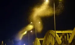"Söğüt Kelebeklerinin Veda Dansı"