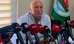 Sakarya'da fındık rekoltesi ve beklentiler netleşti: "Kilo başına en az 300 TL!