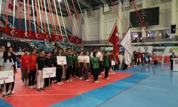 Serdivan'da Taekwondo şöleni
