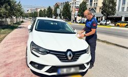 Serdivan’da kaldırıma park eden araçlara cezai işlem