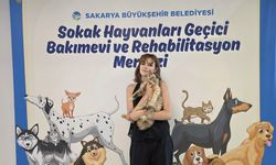 Pati İzi, 700’ü aşkın patili dostu yeni yuvasına kavuşturdu