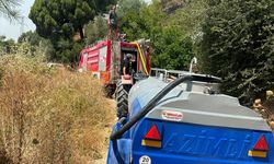 Balıkesir'e bağlı Marmara Adası'nda ormanlık alanda çıkan yangına müdahale ediliyor