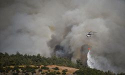Balıkesir'in Sındırgı ilçesinde ormanlık alandaki yangın kontrol altına alındı