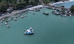 Batı Karadeniz ve Doğu Marmara'daki balıkçılar av sezonundan umutlu