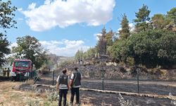 Bilecik'te tarım arazisinde çıkan yangın kontrol altına alındı