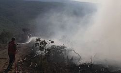 Çanakkale'de ormanlık alanda çıkan yangın kontrol altına alındı