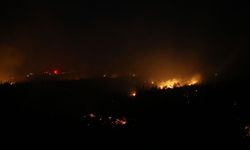 Çanakkale'nin Ezine ilçesinde ormanlık alanda çıkan yangın kontrol altına alındı