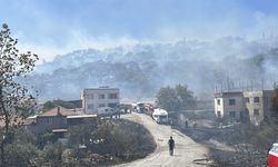 GÜNCELLEME 2 - Balıkesir'in Edremit ilçesinde arazide başlayıp ormana sıçrayan yangın kontrol altına alındı