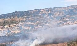 GÜNCELLEME 2 - Balıkesir'in Sındırgı ilçesindeki orman yangını kontrol altında