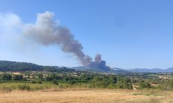 GÜNCELLEME 2 - Çanakkale'de çıkan orman yangını büyük ölçüde kontrol altına alındı