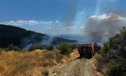GÜNCELLEME - Balıkesir'in Erdek ilçesinde çıkan yangın büyük ölçüde kontrol altına alındı