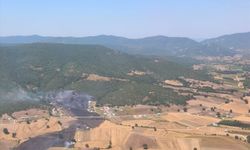 GÜNCELLEME - Bursa'da çıkan orman yangını kontrol altına alındı
