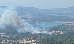 GÜNCELLEME - Çanakkale'de zirai alanda çıkan yangın kontrol altına alındı