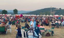 Sakarya'da '4. Geleneksel Pamukova Çilek Festivali' düzenlendi