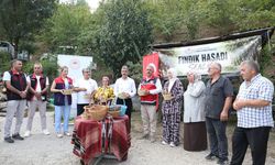 Sakarya'da 'Fındık Hasadı Şenliği' düzenlendi