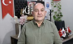 Sakarya'da sahipsiz köpeklerin toplatılması şikayetleri azalttı