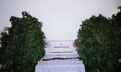 3 ilçede uyuşturucu operasyonu