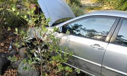 Yalova'da dere yatağına devrilen otomobilin sürücüsü yaralandı