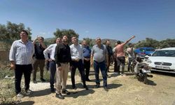 Bayındır'daki orman yangını kontrol altına alındı