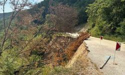 Bolu'da heyelan nedeniyle Taşkesti-Abant yolu 1 aydır kapalı