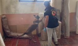 Kastamonu'daki uyuşturucu operasyonunda 5 şüpheli tutuklandı