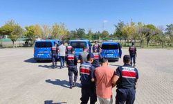 Köpekleri dövüştürüp sosyal medyada paylaştılar, jandarma ekiplerince operasyonla yakalandılar