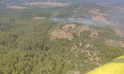 Muğla'da orman yangını kontrol altına alındı